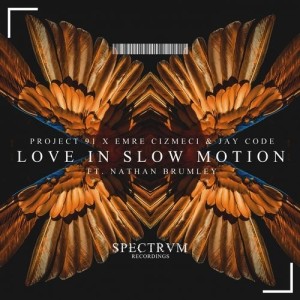 Love In Slow Motion (Original Mix)